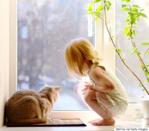 Girl and cat looking out of the window