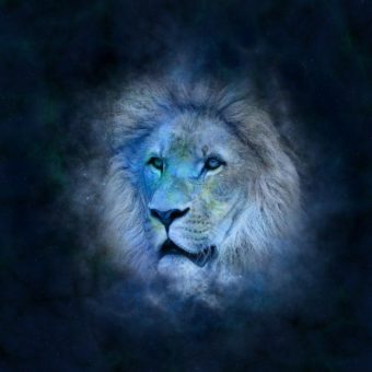 Prévisions & Horoscope ♌ Lion novembre 2021